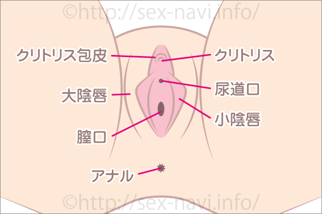 �������N���j�̕��@���摜�ŉ���I�������C���������N���j�̂����Ƃ́H